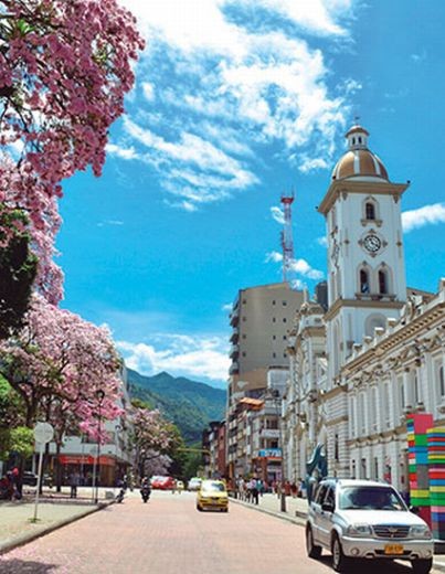 Vista del centro de Ibagué con árboles rosados y la catedral bajo un cielo azul