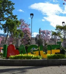 Escultura con la frase I Love Ibagué en un parque con árboles florecidos